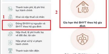 Các bước gia hạn bảo hiểm hộ gia đình online