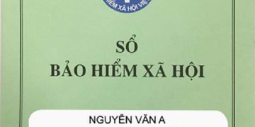 Cả số sổ BHXH và mã số BHXH đều có vai trò như nhau