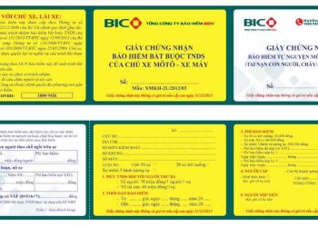 Bảo hiểm tai nạn giao thông - Giải pháp bảo vệ chính bạn