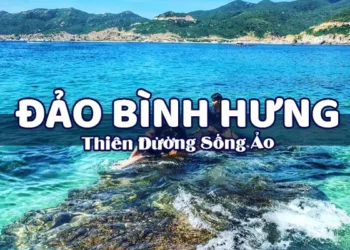 Đặt tour phù hợp đi Bình Hưng cùng NVK Travel