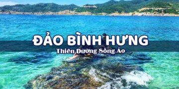 Đặt tour phù hợp đi Bình Hưng cùng NVK Travel